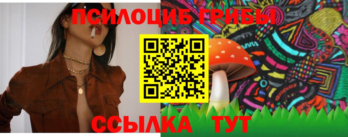 Псилоцибиновые грибы ЛСД  Вход с VPN  Мценск 