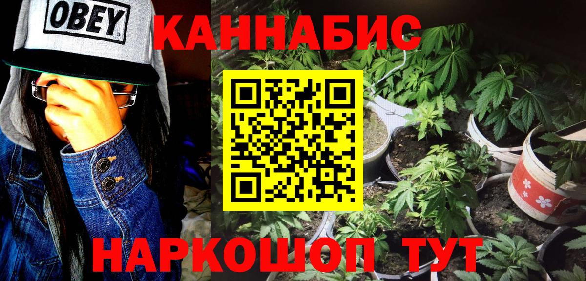 Каннабис OG Kush Мценск